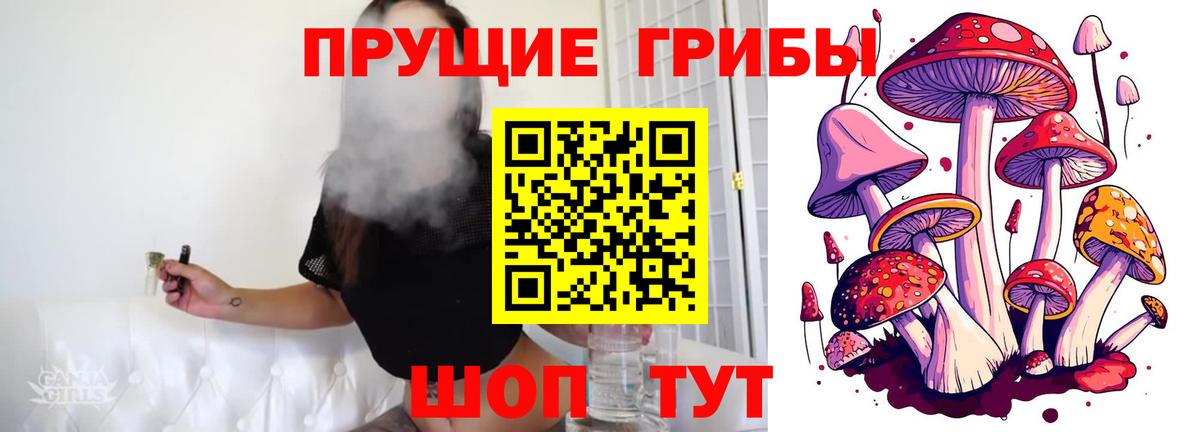 Псилоцибиновые грибы Psilocybine cubensis Воткинск